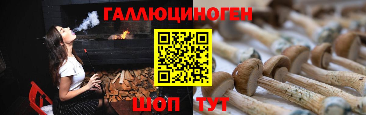 Шали  Псилоцибиновые грибы ЛСД  купить наркотики цена  Галлюциногенные грибы Psilocybine cubensis  Вход с VPN 